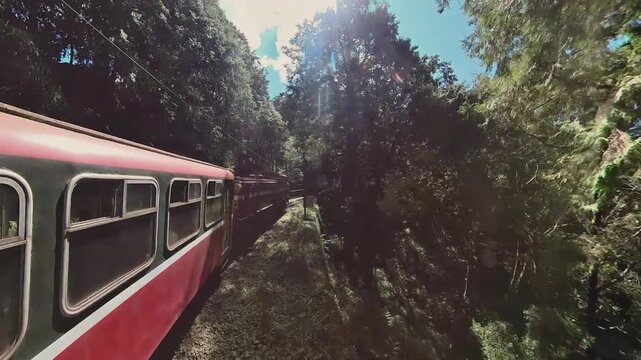 Alishan Forest Railway Traveling Through Mountain Forests in Taiwan