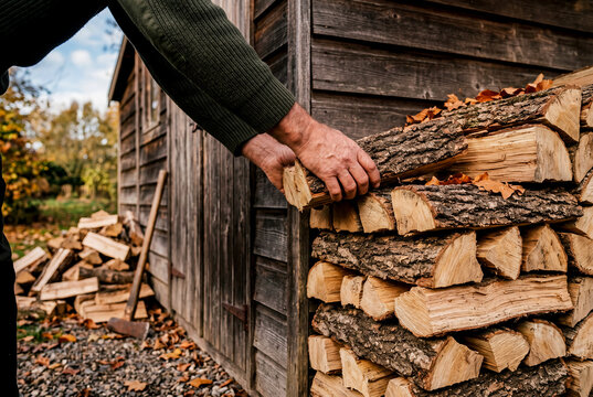 Man stacking chopped firewood for winter storage near rustic shed