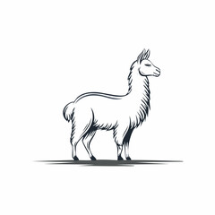 Obraz premium Minimalistische Lama-Silhouette – Exotisches Lama als Vektorillustration