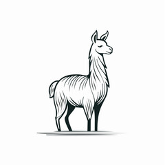 Fototapeta premium Minimalistische Lama-Silhouette – Exotisches Lama als Vektorillustration