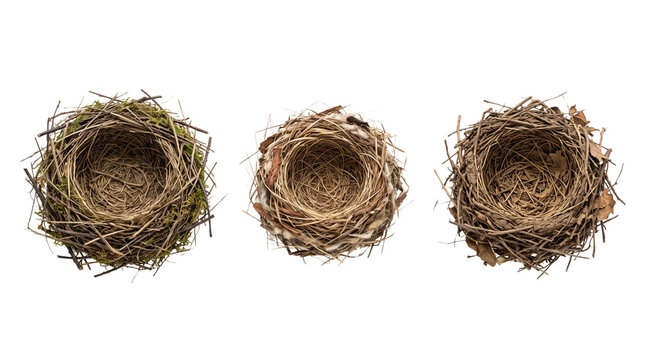 Natural bird nests isolated on white background, rustic spring decorative elements for seasonal creative designs.