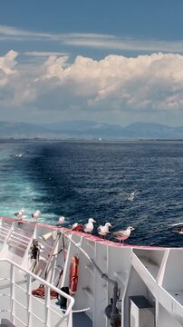 Seagull soars over a stormy sea in the wake of a passing ship, seen from the deck. Vertical view.
