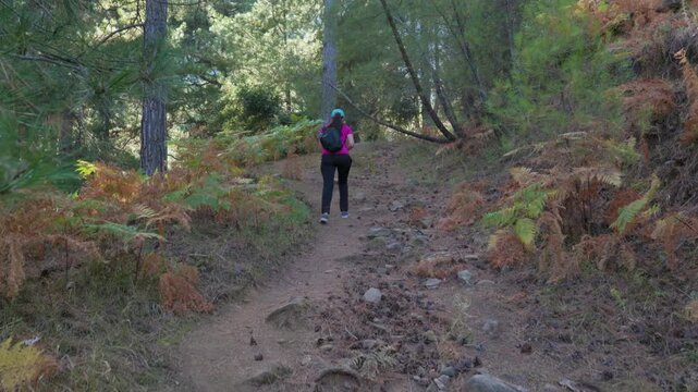 Female Traveler with Backpack Hiking up a Steep Forest Path with Ferns