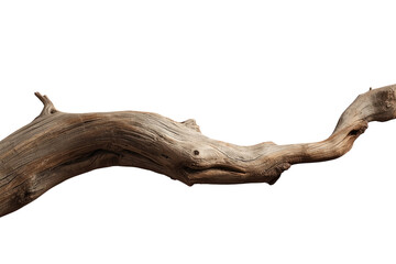 Fototapeta premium Thick weathered driftwood branch with cut end