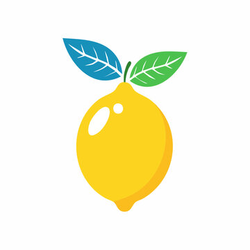 Zitrone &ndash; Farbige Vektorillustration im Flat-Design