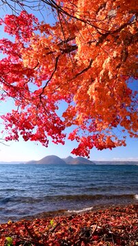 洞爺湖の紅葉と中島