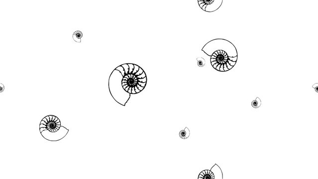 Minimalist seamless pattern of stylized nautilus shells and spiral ammonite fossils, arranged in a clean composition on a bright white background