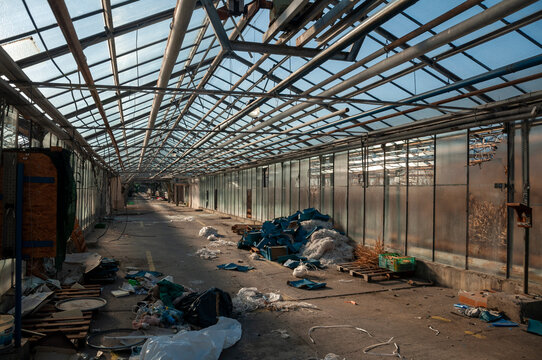 Abandoned old industrial glass greenhouse with dry dead plants and withered crops