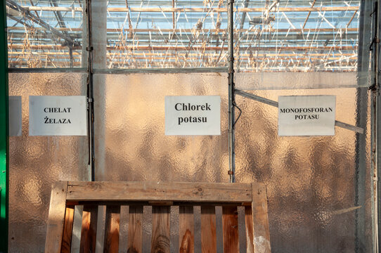 Abandoned old industrial glass greenhouse with dry dead plants and withered crops