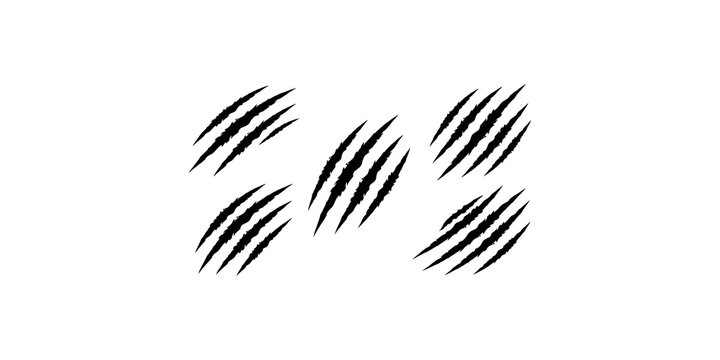 Multiple animal claw marks and realistic black scratch effects on transparent background.