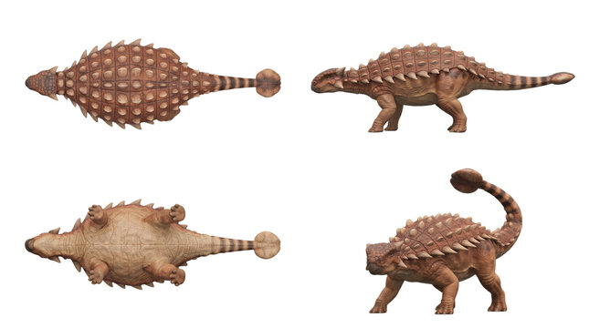 Brown ankylosaurus armored dinosaur set on transparent background