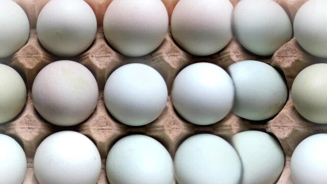 Seamless 4K looping vertical movement over neatly arranged fresh eggs creating a clean food themed background for cooking agriculture and culinary presentations.