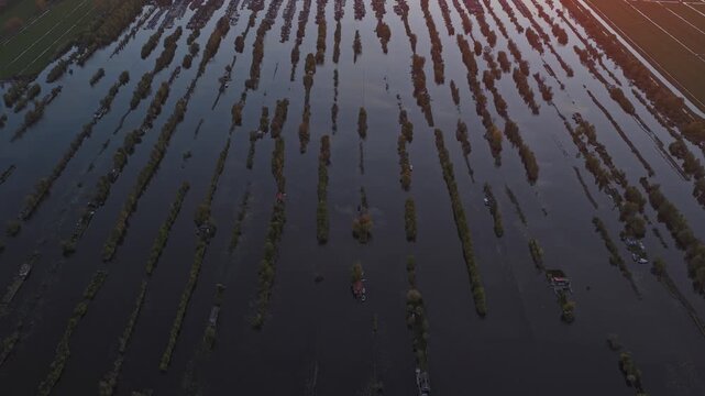 Aerial view of scheendijk peat polder at sunset in the netherlands