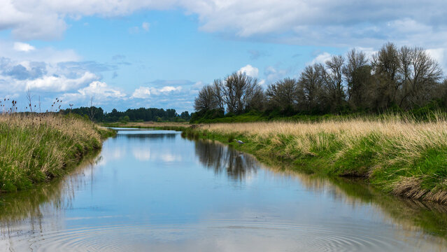 Sauvie Island, Wapato Island, Portland, Oregon	
