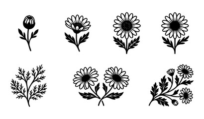 Fototapeta premium Hand Drawn Wildflower Botanical Floral Sketch Collection with Blooming Garden Flowers Vector Illustration Set