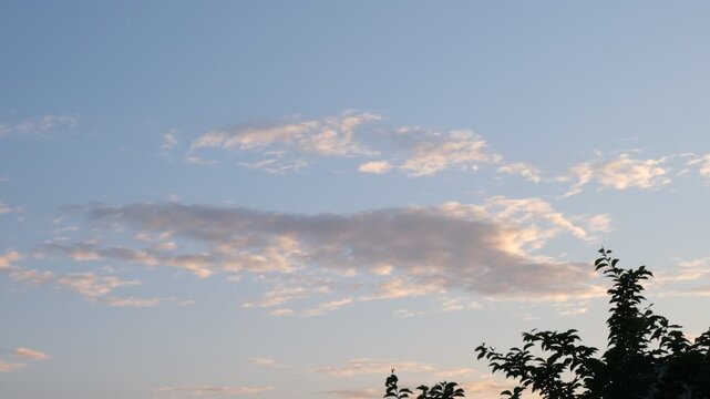 Evening sky in soft blue tones with clouds tinged in delicate pink hues. Gentle flutter of birds or insects. Peaceful transition from day to night. Nature, twilight, summer evenings