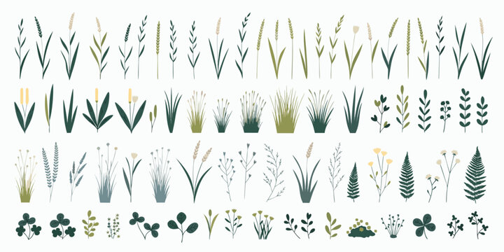 Botanical Illustration Of Various Grasses Leaves And Ferns In A Watercolor Style wheat