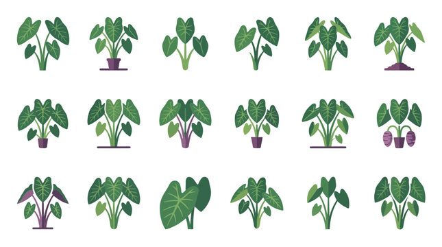 Various taro plant icons in pots and garden soil.