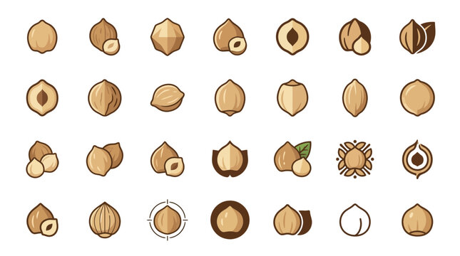 Various hazelnut and seed icon grid.
