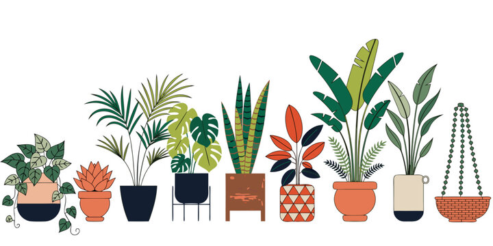 Assorted potted houseplants illustration a modern flat style depiction with a white background