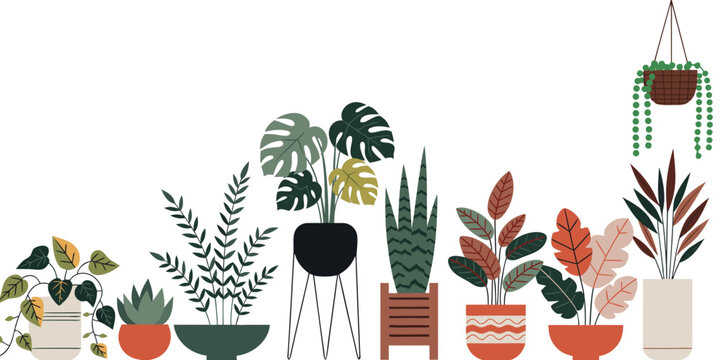 Assorted potted houseplants in a modern flat vector illustration with a white background