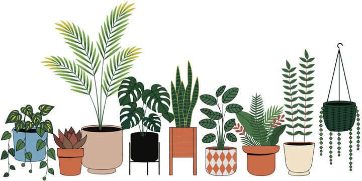 Assorted Potted Houseplants With Geometric Patterns A Modern Flat Vector Illustration plants indoor