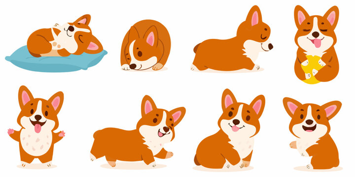 Corgi Dog Characters In Various Poses A Colorful Vector Illustration On White Background