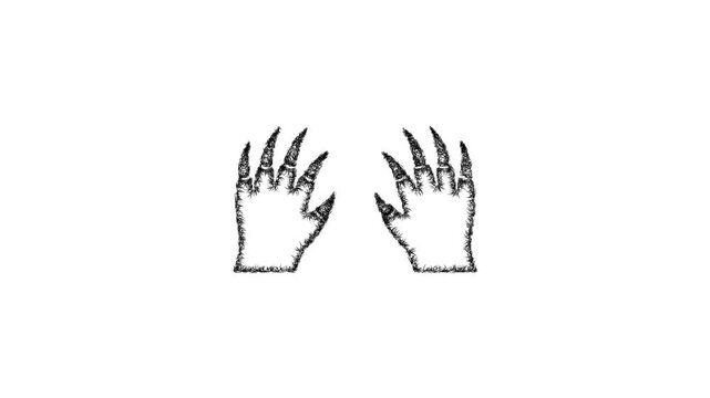 Sketch mole paws icon animation - smooth progressive reveal