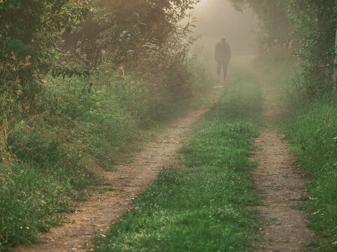 Silhouette of a person walks alone on dirt path through foggy forest. Green wet grass lines both sides of trail. Trees and bushes surround narrow pathway. Mist creates soft, hazy and scary atmosphere.