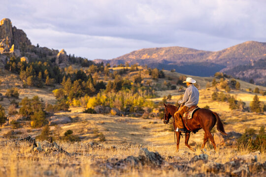Wyoming Cowboy Horse Ranch scenic