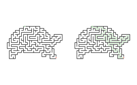 Medium turtle maze for kids printable educational labyrinth game with solution in black and white