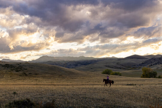 Wyoming Ranch Cowgirl with AQHA Quarter Horse 
