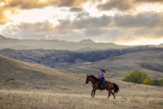 Wyoming Ranch Cowgirl with AQHA Quarter Horse 