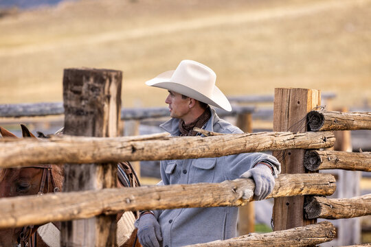 Wyoming Cowboy Horse Ranch scenic