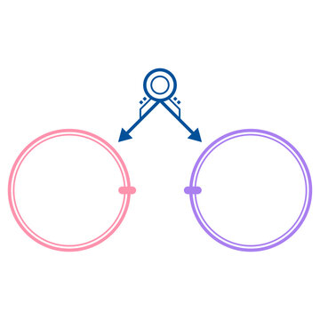infographic layout