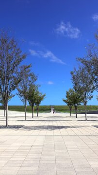 高田松原津波復興祈念公園　追悼の広場