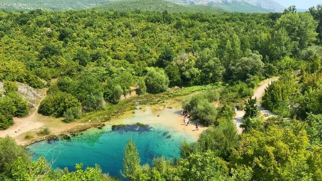 Aerial view of the Cetina River spring in Croatia, a natural karst pool with turquoise water surrounded by lush green forest and trees