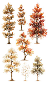 Slender autumn poplar tree clipart set