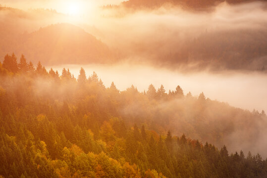 Misty autumn mountain landscape at sunrise in Slovenia