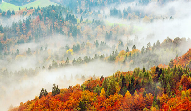 Misty autumn mountain landscape at sunrise in Slovenia