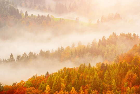 Misty autumn mountain landscape at sunrise in Slovenia