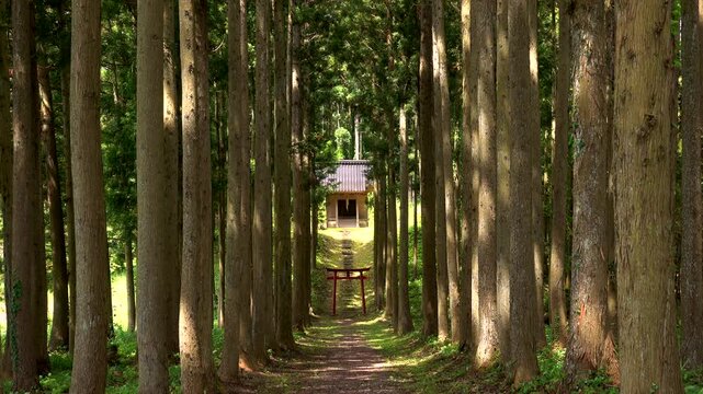 小野曽神社