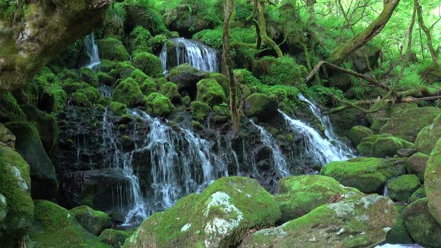 元滝伏流水