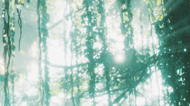 The sunlight shines through dense foliage in a tropical forest. Long vines hang from branches while bright spots of light create patterns on the ground. It is daytime and serene.