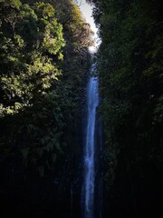 waterfall in the forest © Roman