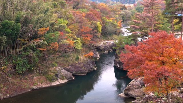 胎内川と紅葉