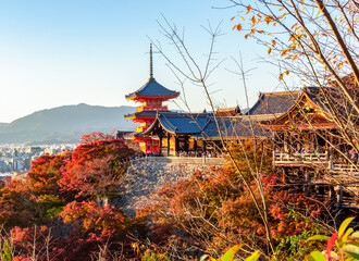 Naklejka premium Kiyomizu-dera buddhist temple and gardens at autumn sunset, Kyoto, Japan