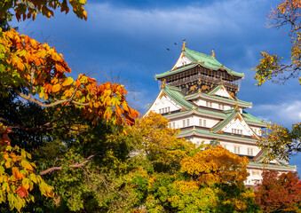 Osaka castle and gardens in autumn, Japan © Mistervlad