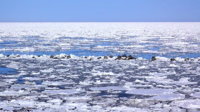 流れる流氷とオホーツク海