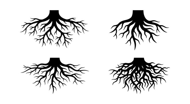 Root System Vector Icons, Plant Growth, Organic Structure, Natural Foundation Elements